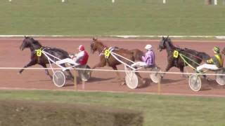 Vidéo de la course PMU PRIX D'OUVERTURE