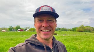 Grafting A Lamb and Making a Cattle Move | Grass-Fed St Croix Sheep & Red Devon Cattle