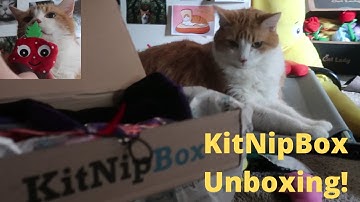 KitNipBox Unboxing | Cabaret
