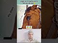 bezubaan pe kya zulm krna#islamicshorts #imotional #parinda