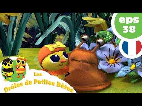 DRÔLES DE PETITES BÊTES EP38 Je Ne Veux Pas Grandir