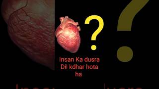 Insaan ke 2 Dil hote hain? 🫀 (Nomi Rocket science) 🤣 #shorts
