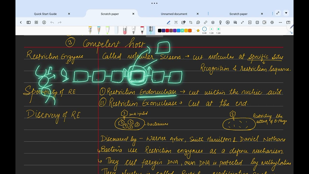 Tools of Biotechnology - Restriction Enzymes Explained Simply 