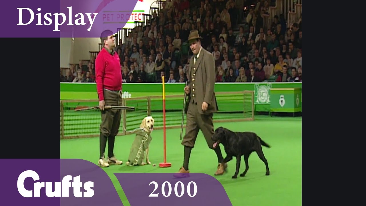Safe Gamekeeping Display at Crufts 2000 Crufts Dog Show YouTube