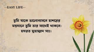 সেরা কিছু ইসলামিক স্ট্যাটাস বাংলা । ইসলামিক স্ট্যাটাস screenshot 3