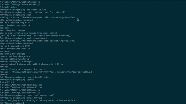 How to use HG (Mercurial) on CLI (and comments for windows)