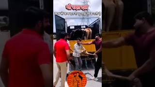 Bajrang Dal 🙏🚩#bajrangdal #gaumata #hindutuva #hindu #jaishreeram #mata #yogi