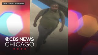 Chicago police search for suspect in knife attack on CTA Green Line