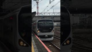リニューアル塗装される前の原色のE257系を撮ってきた
