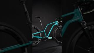 SILVERBACK RETHINKS THE GRAVEL BIKE