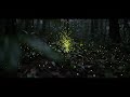forst firefly AI Videos