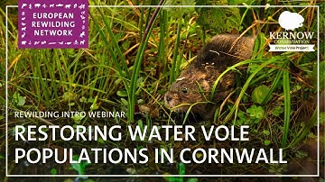 European Rewilding Network | Rewilding Intro | Kernow Conservation