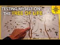 Testing My Knowledge on the Tree of Life