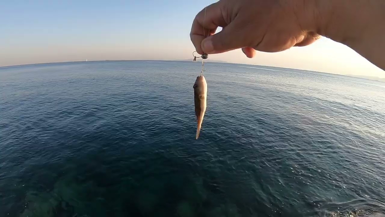 ψάρεμα LRF με jighead & σιλικόνες αν κατεβεί χαμηλά θα το πληρώσεις ακριβά το τόλμημα χαρά οι Λαγοί