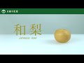 京橋千疋屋 フルーツの美味しい切り方「和梨」編