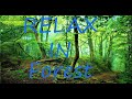 RELAXING SOUND of the FOREST Relaxing for LEARNING and DEEP SLEEP MEDITATION  2021 Ciripit de pasari