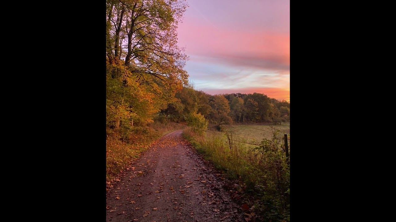 peaceful morning - (prod. adturnup x nxght)