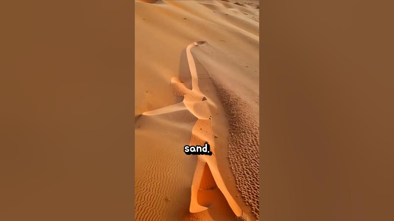 Why Desert Sand dangerous π³ Why Desert Sand dangerous π³