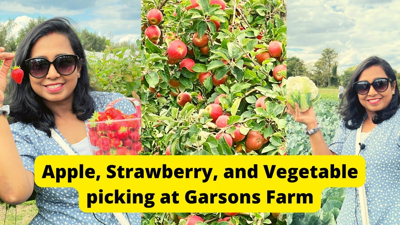 Picking Apples and Strawberries at the largest Pick-Your-Own Farm in the UK | Enjoying Food in Farm