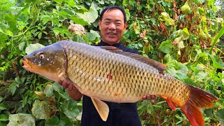 GIANT Carp Fish with the Most Special Recipe! Braised Together with Pork Belly | Uncle Rural Gourmet