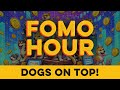 Fomo hour 72  dogs on top