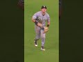We've got a man there! @TOTOUSAInc #defense #mlb #baseball