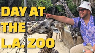 Chill Day at the LA Zoo 🦒
