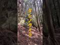 三輪山の奥に隠された聖域『ダンノダイラ』なぜ、古代ヤマトの国に出雲族の祈りの残像が…?