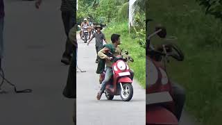 DETIK DETIK !!! BABI HUTAN MELINTASI JALAN #babihutan