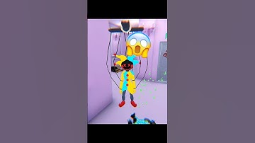 HIDE IN THE BACKROOMS / HIDE IN THE BACKROOM