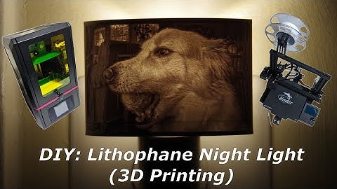 DIY: Lithophane Night Light (3D Printing)