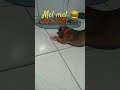 oi mel