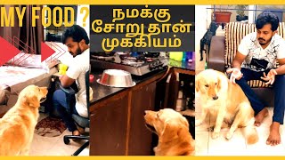 Reggie’s Food Time || Golden Retriever || Retriever || Golden Love || Dog Love