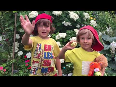 Учим стих "Всё в порядке" Э.Успенский