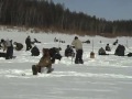 Зимняя рыбалочка. Юрий Таюрский