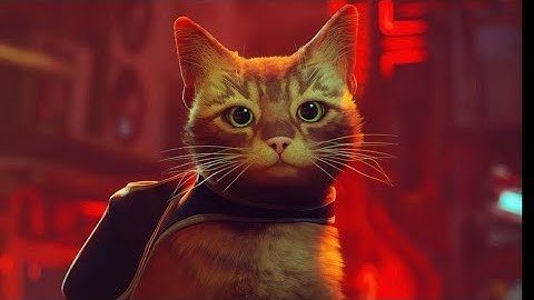 STRAY ~ PS5 FULL GAME Walkthrough (No Commentary) PART 2 ENDING