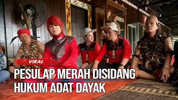 Buntut dari Mengecam Pengobatan Ida Dayak, Pesulap Merah Disidang Hukum Adat Dayak
