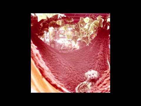 The Cribs - Anna