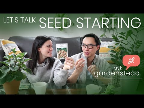 Video: Growing Grocery Store Pepper Seeds - Will Store Nabili na Peppers Grow