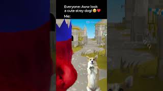 Whos a Good Doggie?