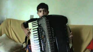 Gustavo 8 Anos Toca No Acordeon Do Neri