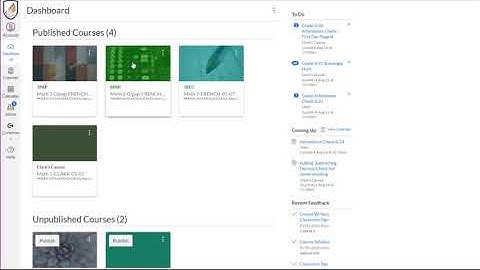 Posting Feedback in Canvas
