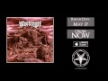 Stortregn - Acosmic Ascendant