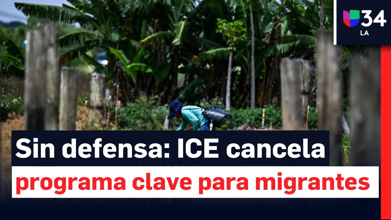 ICE cancela ‘DALE’, programa que protegía de abusos laborales a trabajadores indocumentados