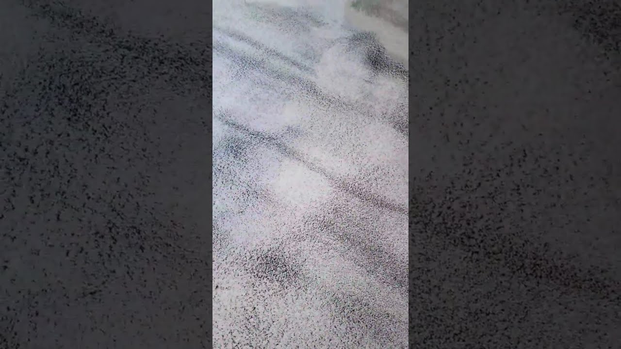 Silver Glitter Epoxy Floor Starratt Construction Youtube