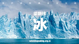 大自然在说话：梁朝伟  冰|保护国际基金会（CI）