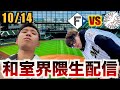 【負けたら終わり！】CS1stステージ第3戦 北海道日本ハムファイターズvs千葉ロッテマリーンズ 全力応援生配信
