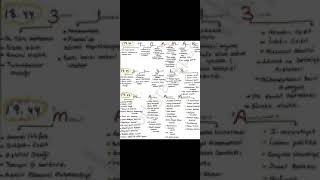 Osmanlının Tüm Islahatları Ösym Sorar Kaçırma Bunları Kpss Tyt Ayt Dgs Ales Msü