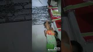 Download Lagu asyik di goyang terus MP3