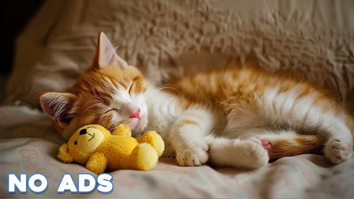 12 Hours Calming Music for Cats 🐈 Sleep Music for Cats No Ads ♬ Sleep Music for Anxious Cats